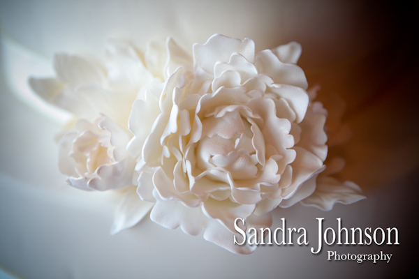 Best King and Prince Wedding photographer - Sandra Johnson (SJFoto.com)